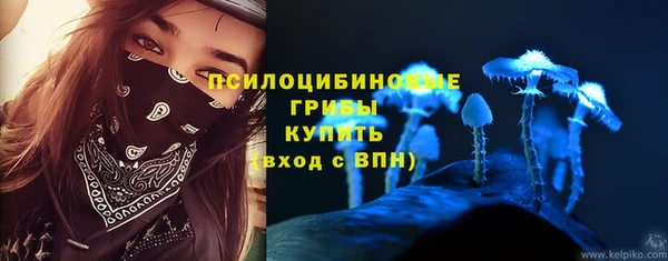 apvp Белокуриха