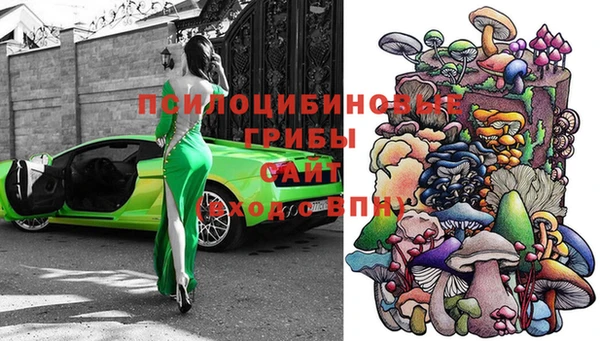 apvp Белокуриха