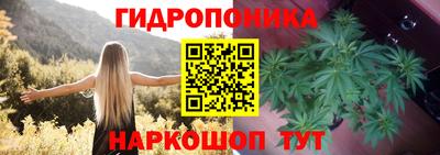 apvp Лесосибирск