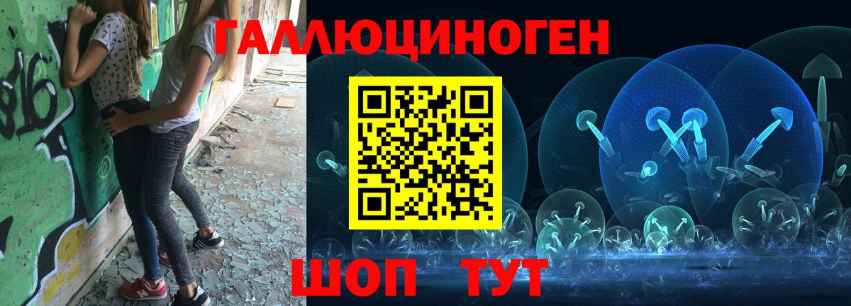 Горно-Алтайск  Галлюциногенные грибы прущие грибы  Вход с VPN 